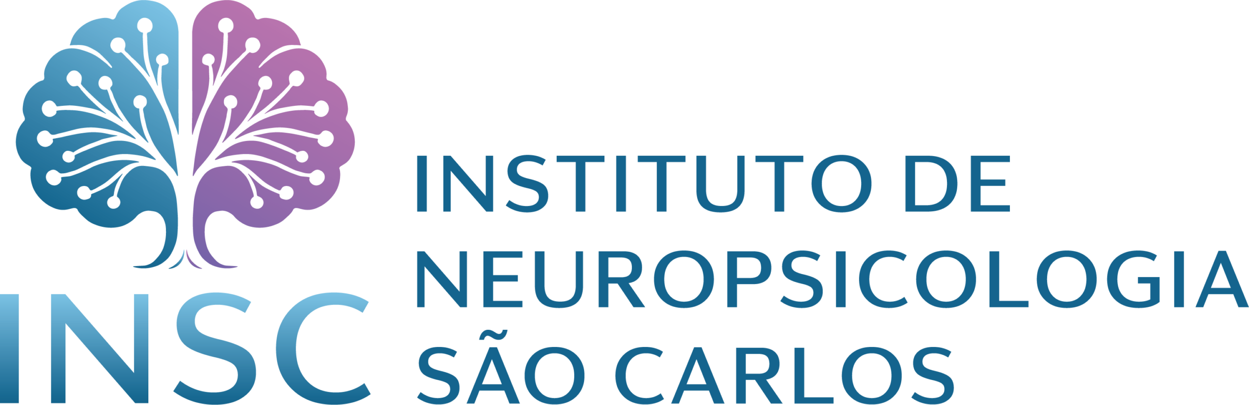 Logo INSC Horizontal Colorido